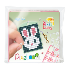 Load image into Gallery viewer, Medaillon Startset