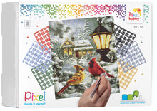 Afbeelding in Gallery-weergave laden, Pixel Kit 9 Basisplaten
