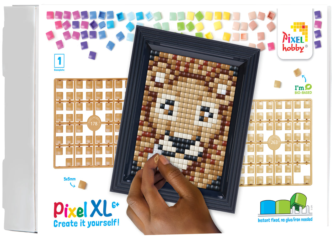 Geschenkverpakking XL | Leeuw