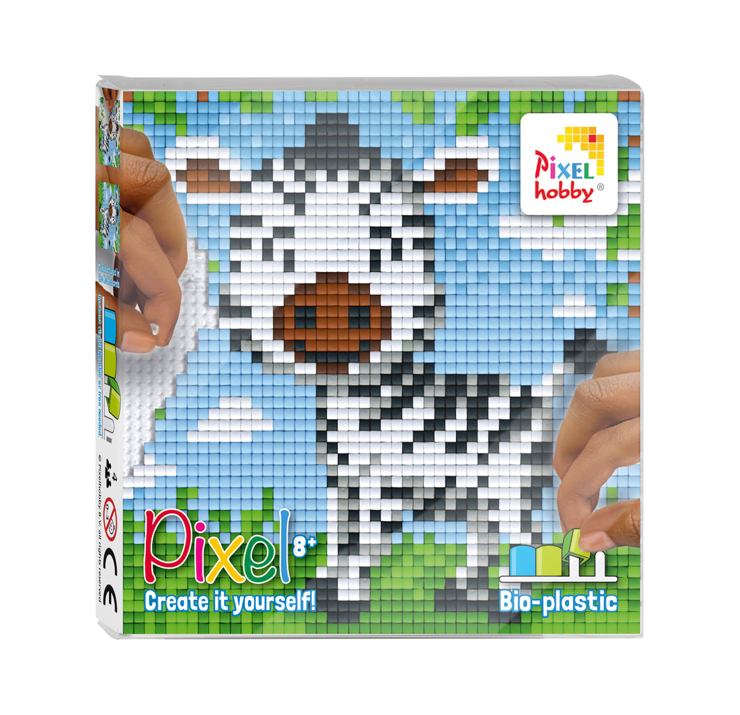 Pixel Set | Zebra