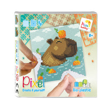 Load image into Gallery viewer, Pixel Set | Alpaca
