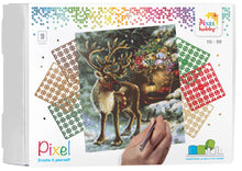 Lade das Bild in den Galerie-Viewer, Pixel-Kit | Flowers De Heem (9 Grundplatten)
